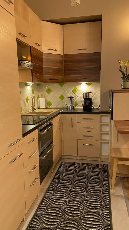 Lublinbnb - Exclusive Family Apartment ------ In The Heart Of Lublin -------------------------------- Bedroom & Living Room & Kitchen Kültér fotó